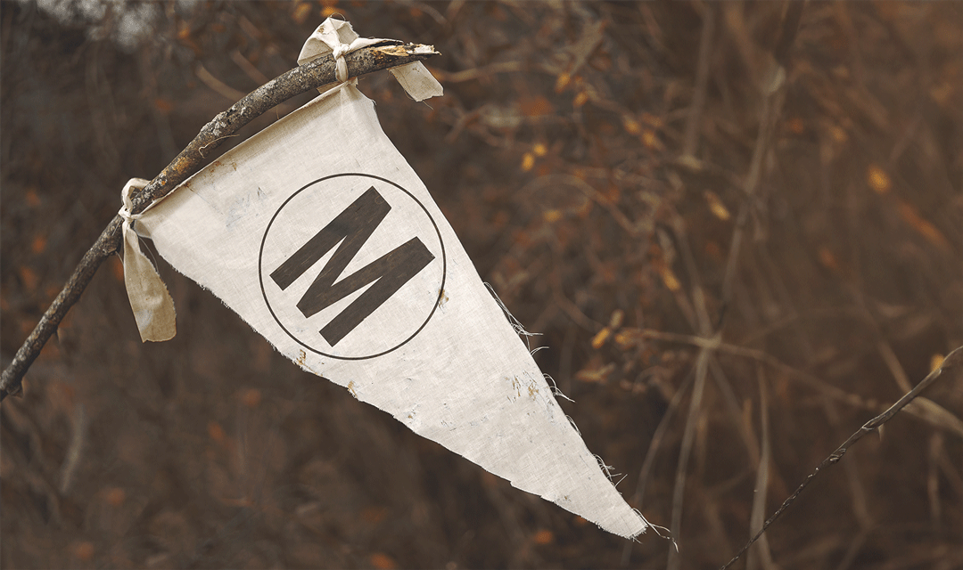 MMOL flag detail.